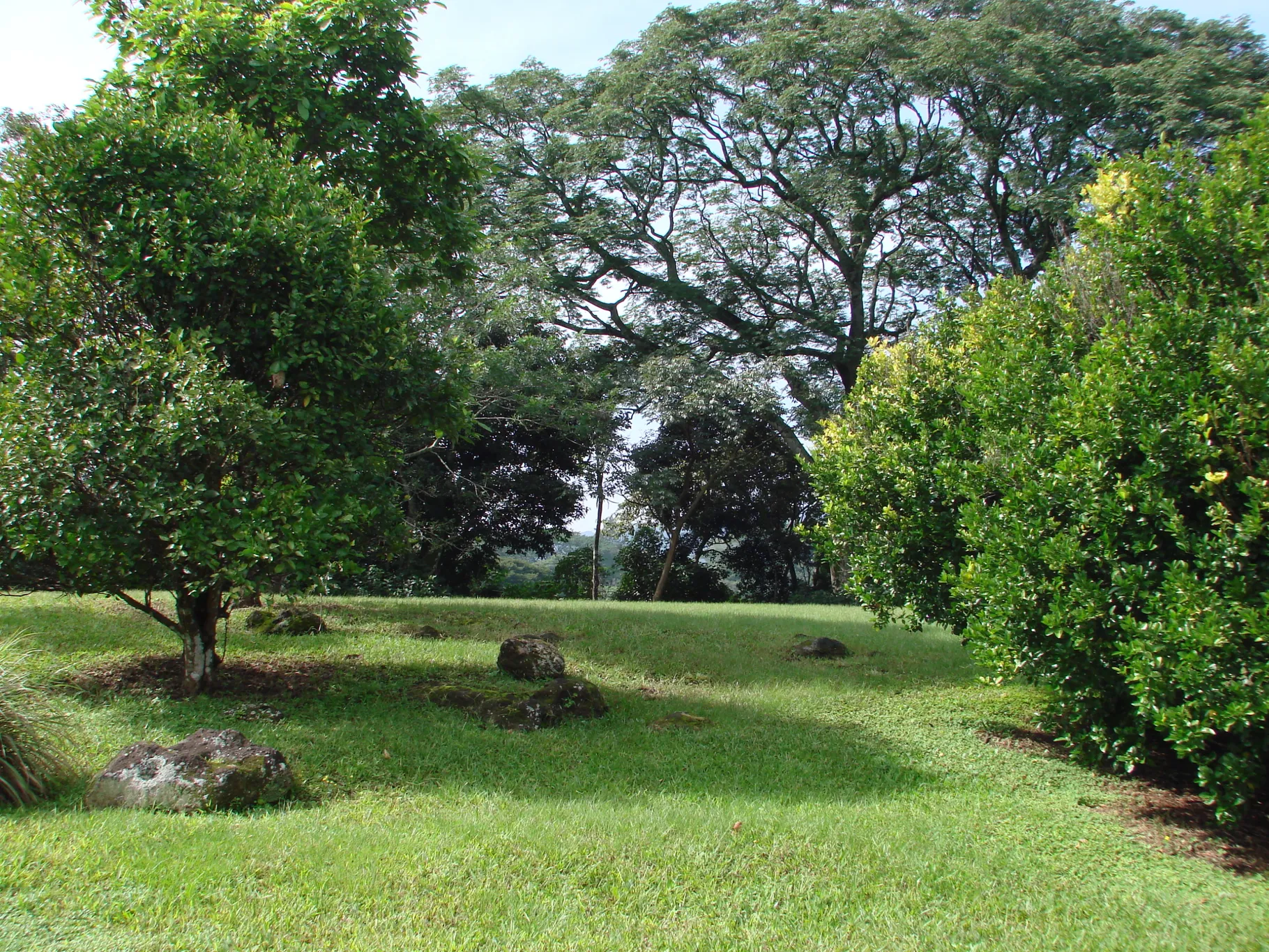 Home construction site property in Cuidad Colón - Lot for sale - image 9