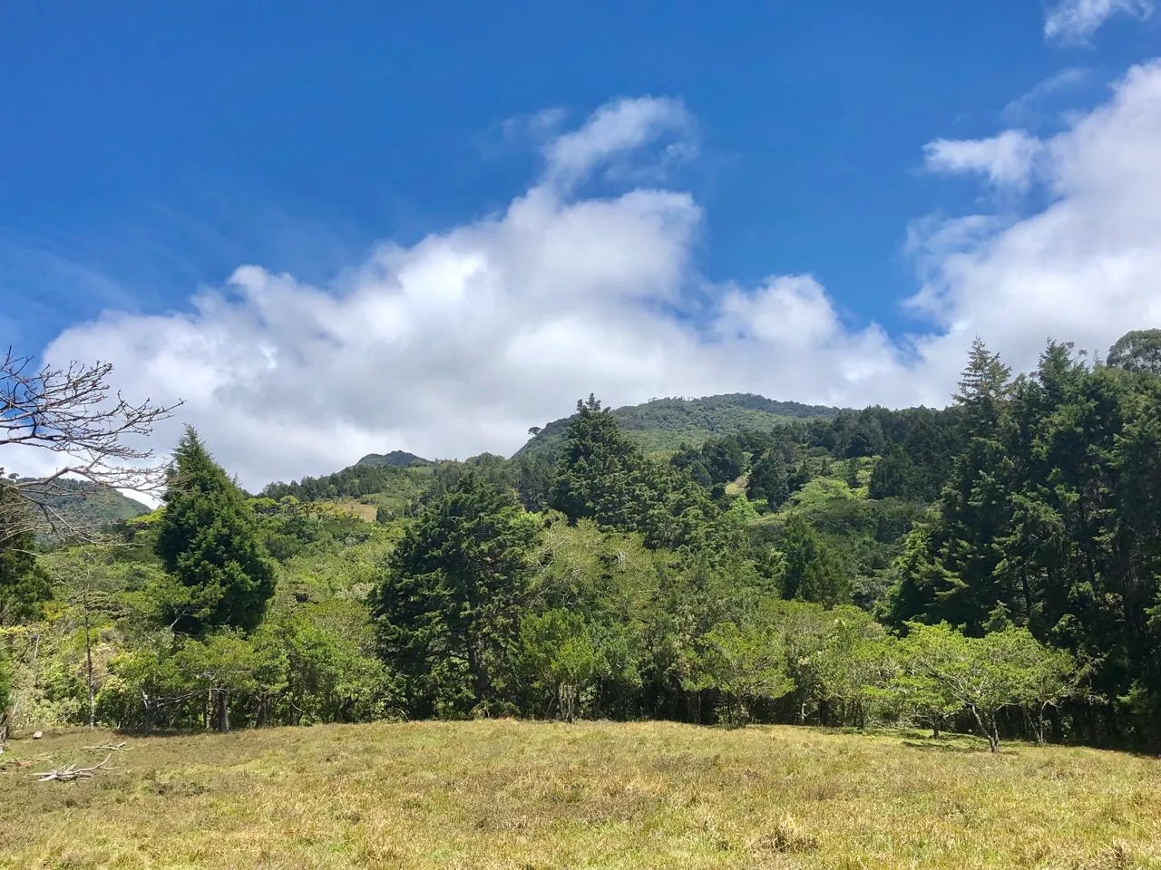 Sale / Beautiful Land (With Permission for Commercial Use) San Isidro, Heredia - image 2