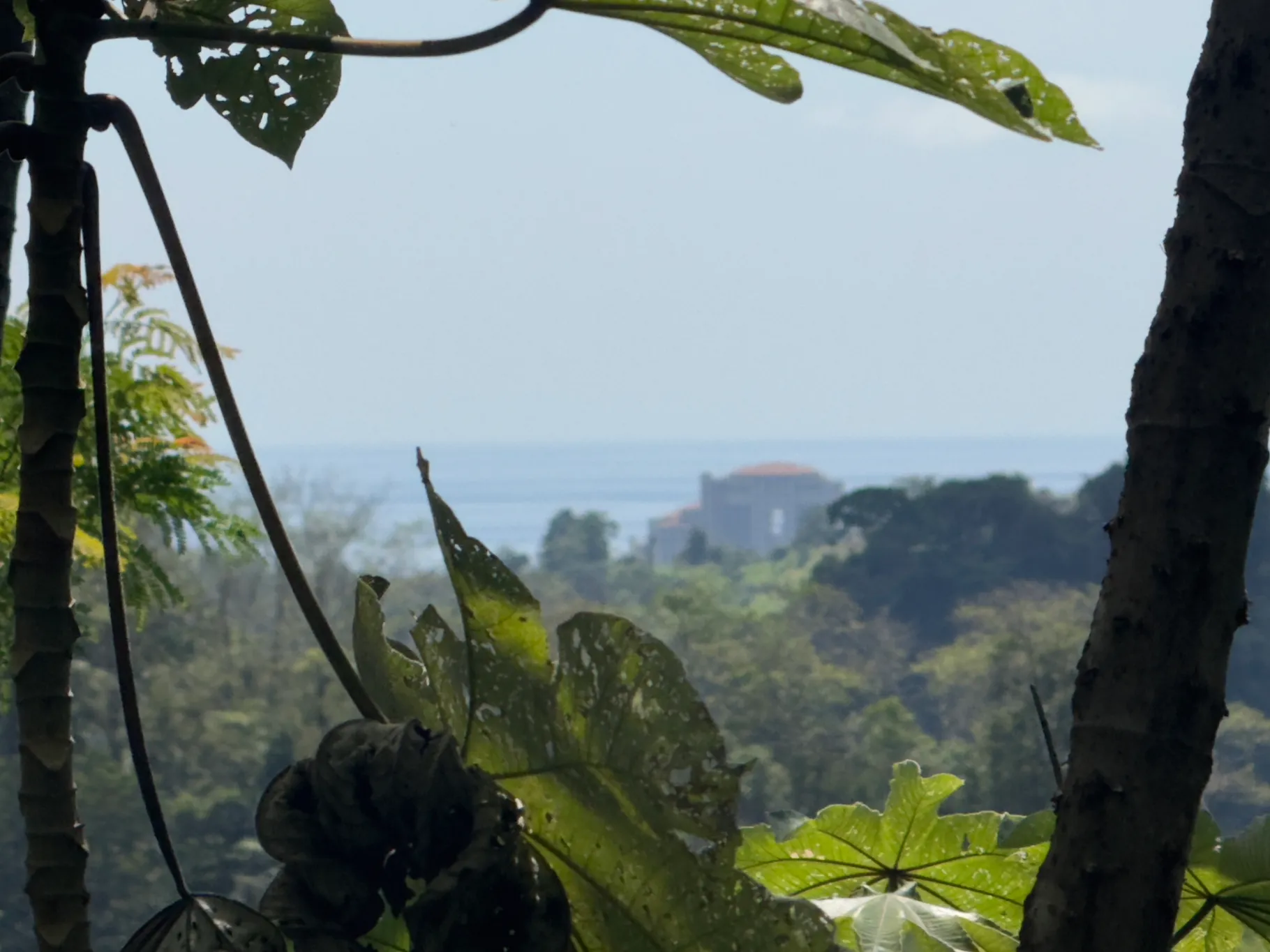 🌄 Prime Development Opportunity in Herradura – 206,657 m² with Ocean & Mountain Views 🌊🌿 - image 4