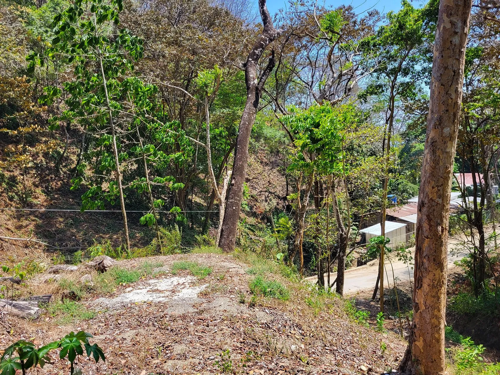 Prime Tropical Dream Lot For Sale - image 9