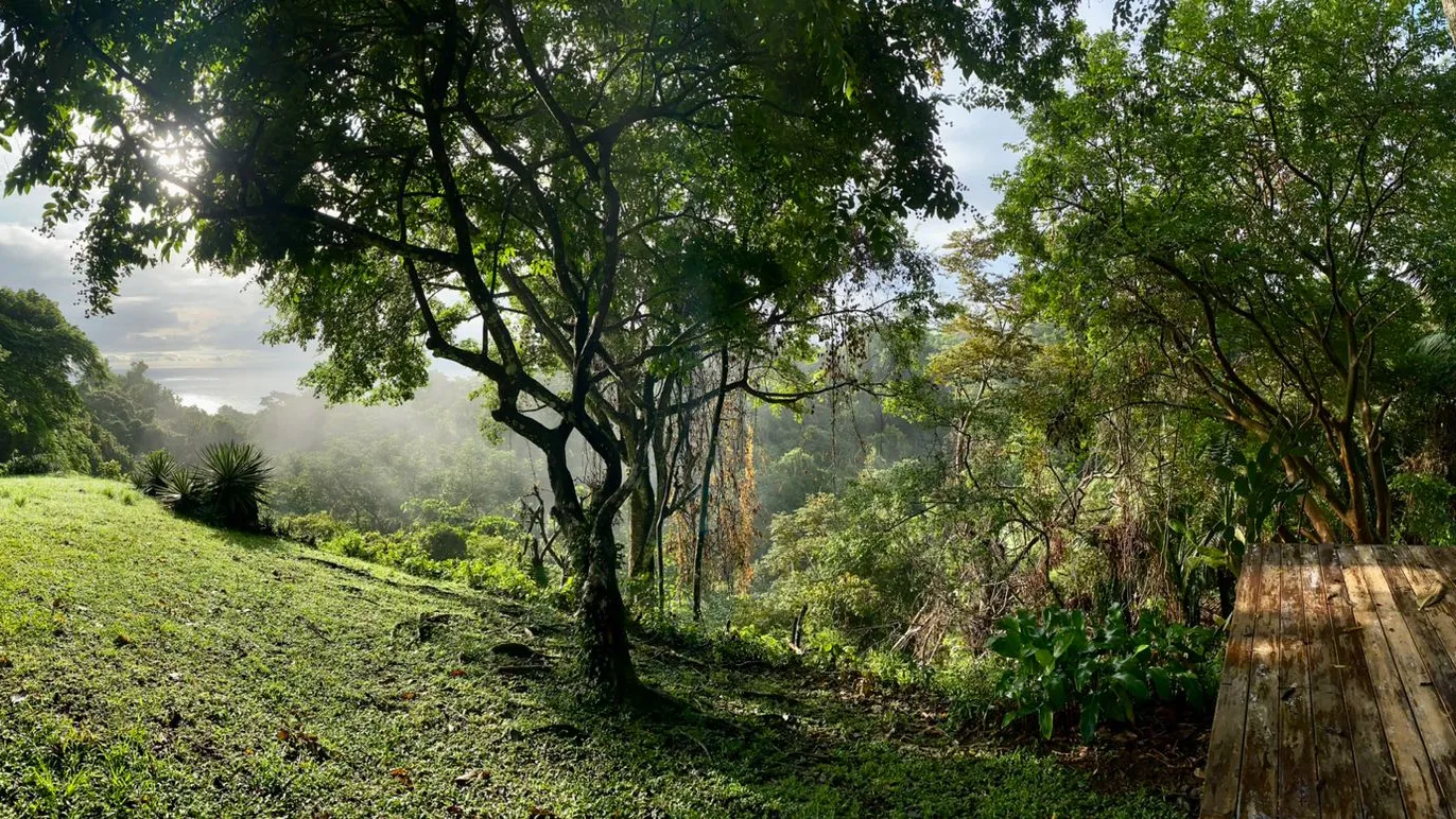 Amazing Ocean View Property with Exceptional Development Potential & Boho Home, Rustic Cabin and Pool in Delicias Near Montezuma - image 13