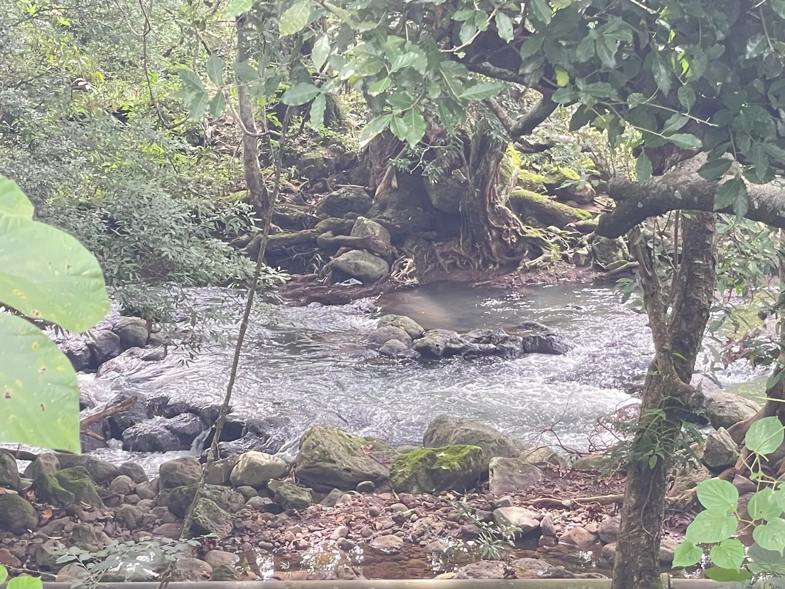 For Sale: Quinta in Turrucares Alajuela - image 5