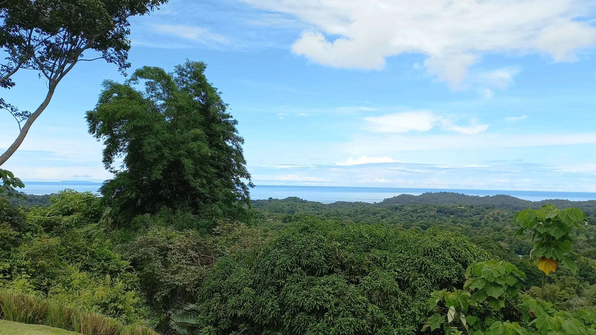 ELEGANT HOUSE WITH OCEAN & JUNGLE VIEWS IN OJOCHAL, COSTA RICA - image 4