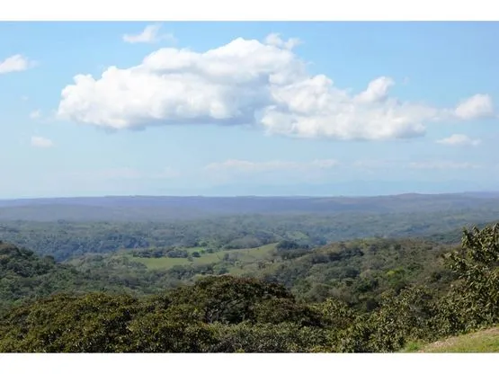 For Sale: Quinta in Turrubares - image 2