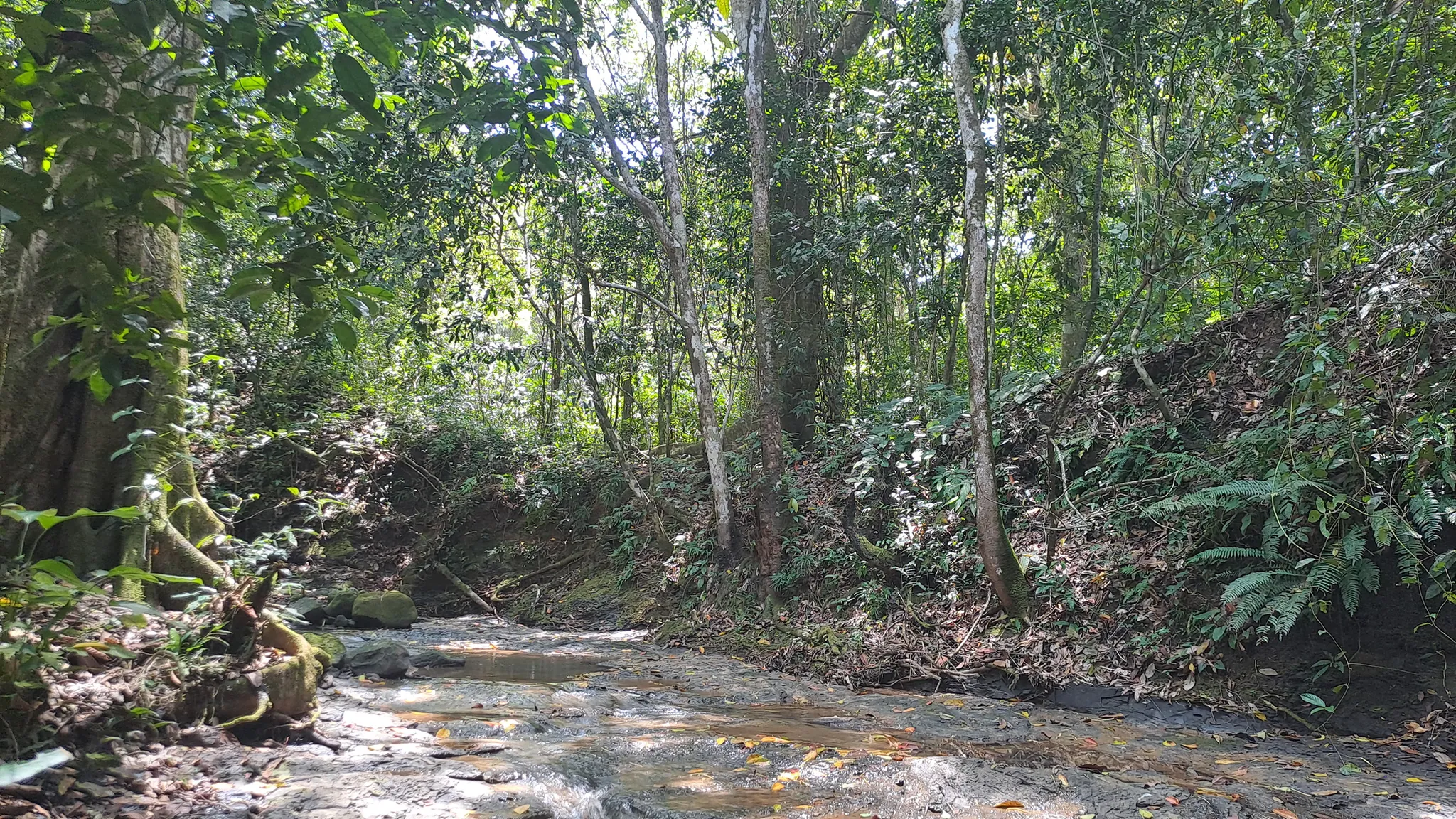 Conveniently Located Property at Playa Hermosa in Uvita, Costa Rica - image 12