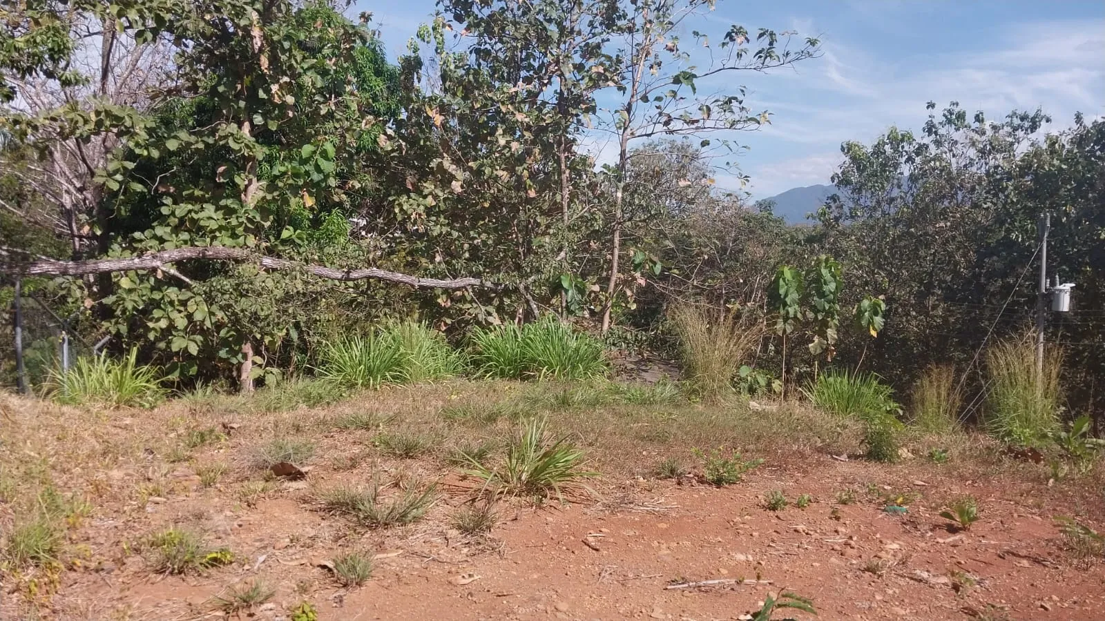 Prime Lot for Sale: 30 Minutes from the Beach – Peaceful and Growing Rural Area - image 14