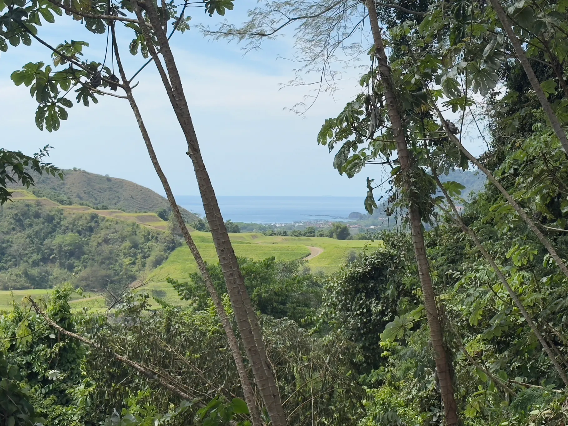 🌄 Prime Development Opportunity in Herradura – 206,657 m² with Ocean & Mountain Views 🌊🌿 - image 2