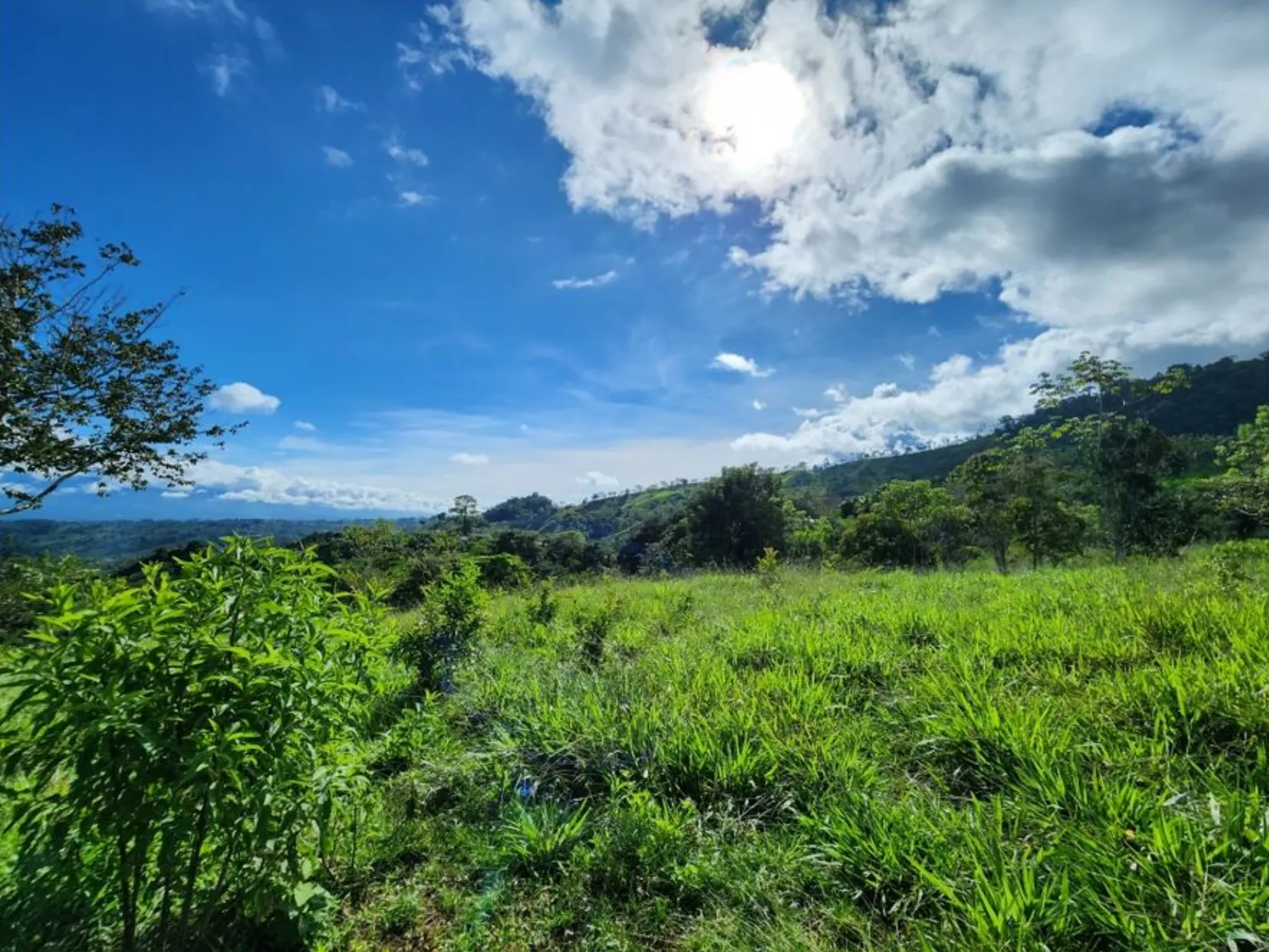 MOUNTAIN VIEW FARM & HOUSE IN PACUARITO, PEREZ ZELEDON - image 3