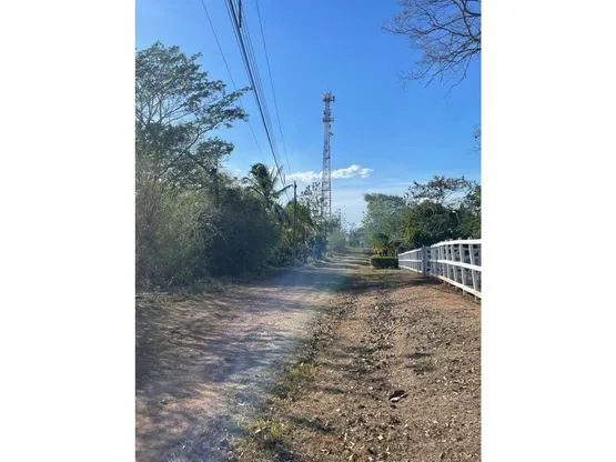 For Sale: Beautiful flat lot in La Ceiba of Orotina - image 4