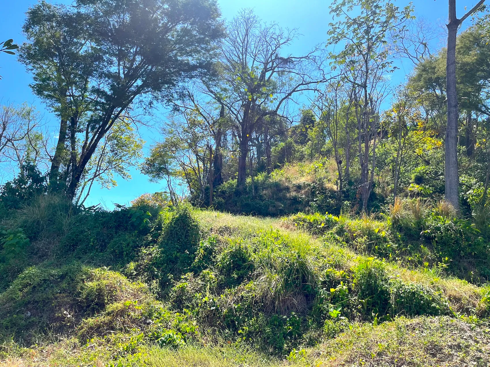 Ocean View Lot 10000m2 in Mal País – 2 Ready-to-Build Platforms - image 2