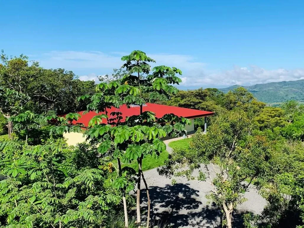 HOUSE FOR SALE WITH SPECTACULAR OCEAN VIEWS – SAN RAMON, ALAJUELA - image 15