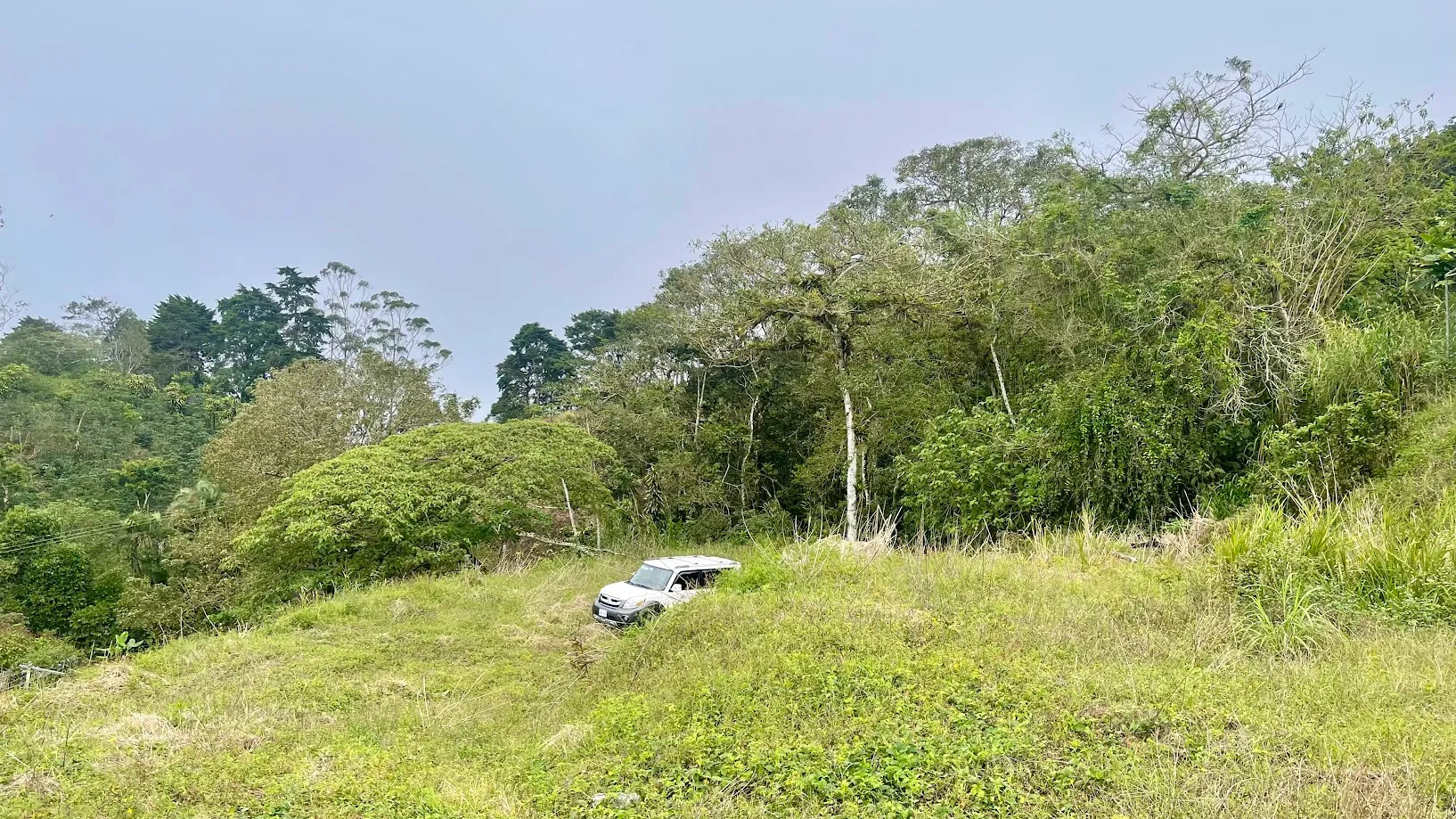  OCEAN VIEW LOT FOR SALE IN SANTIAGO, SAN RAMON  - image 9