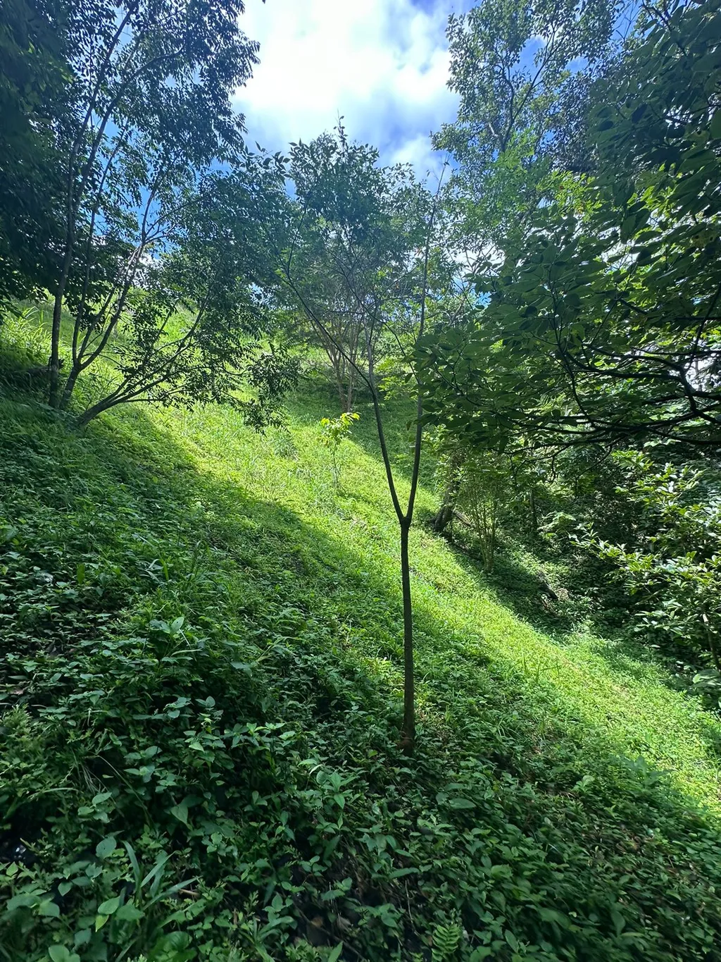 Build Your Future in Turrubares: Nature, Development, and Quality of Life - image 6