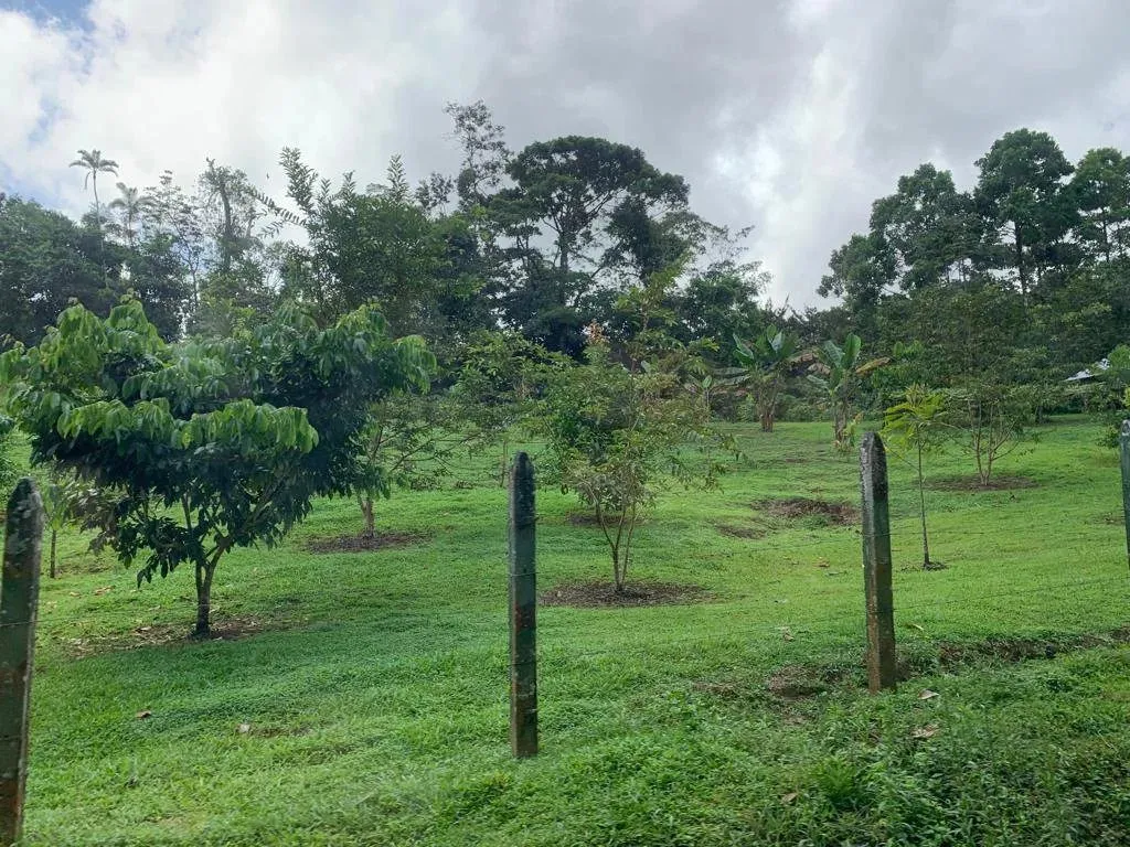 Beautiful 480,000 m² Tourist Property in Alajuela - image 11