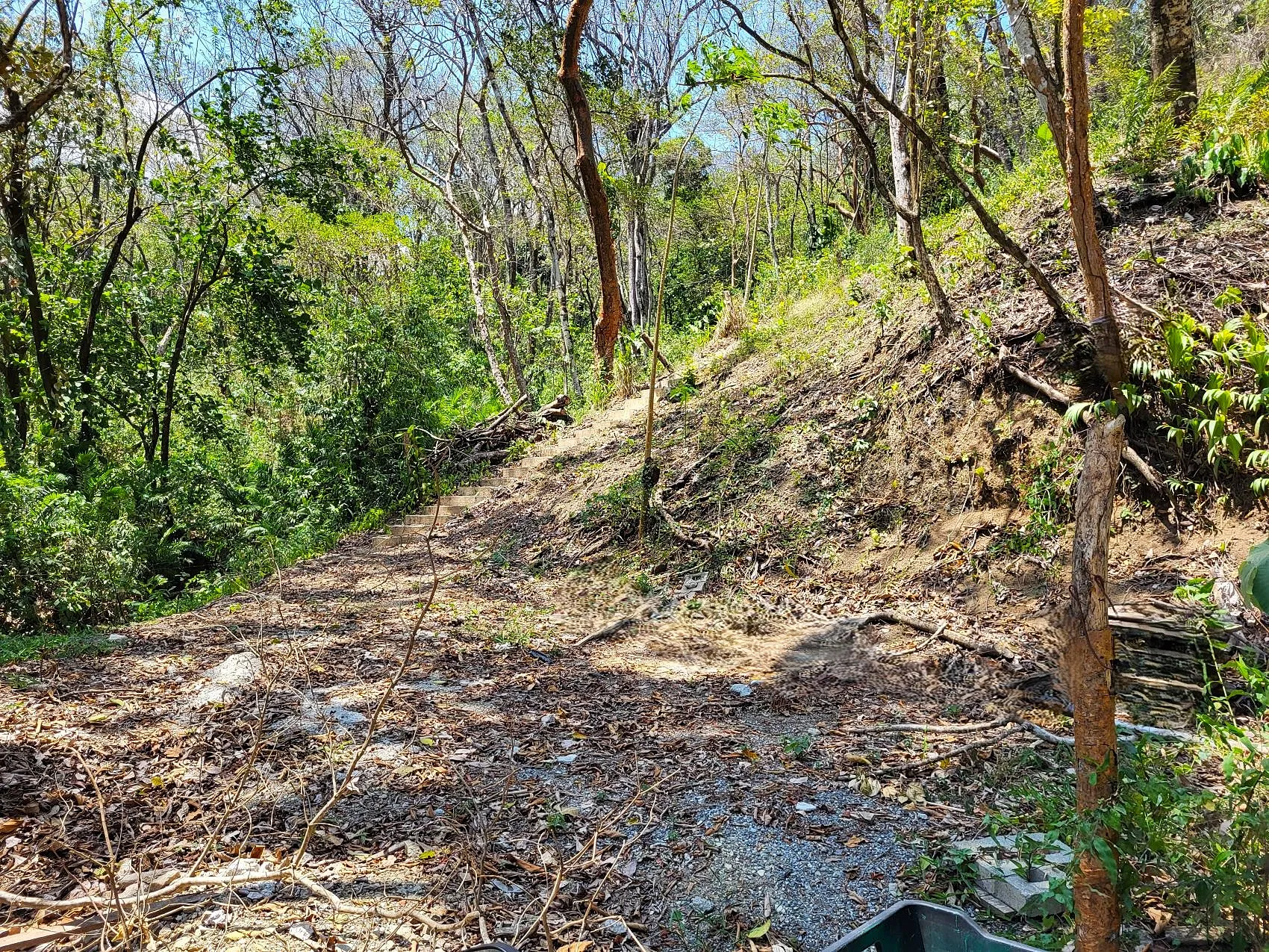 Prime Tropical Dream Lot For Sale - image 5