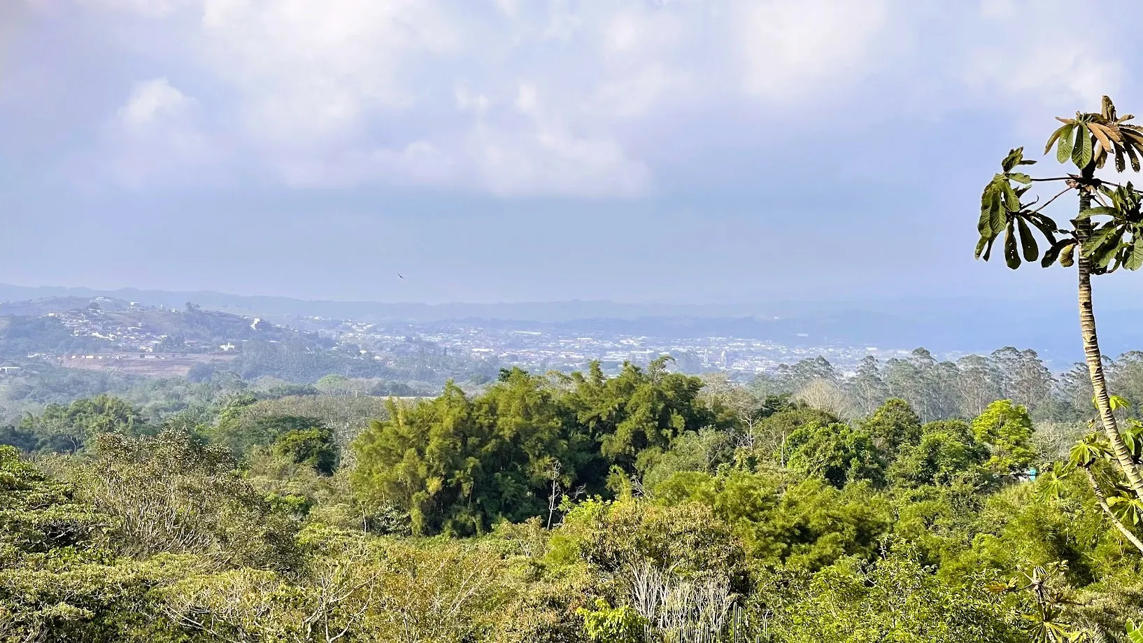 LAND FOR SALE IN SAN RAFAEL, SAN RAMON - image 7