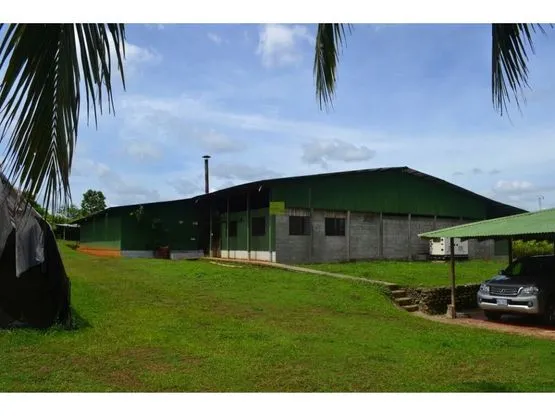 SE VENDE FINCA DE CACAO EN PRODUCCIÓN Y CRECIMIENTO - image 5
