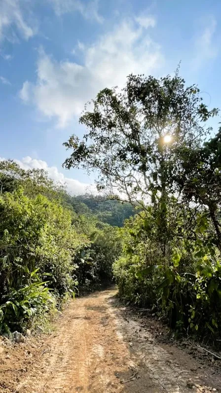 LAND FOR SALE IN SAN RAFAEL, SAN RAMON - image 9