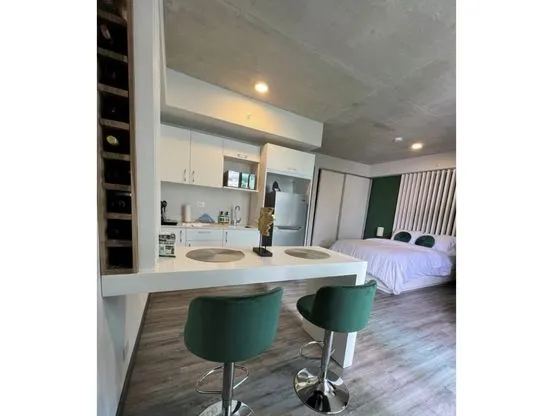 Rent / Amazing Apartament in SECRT Condominium, Sabana Sur, San Jose  - image 8