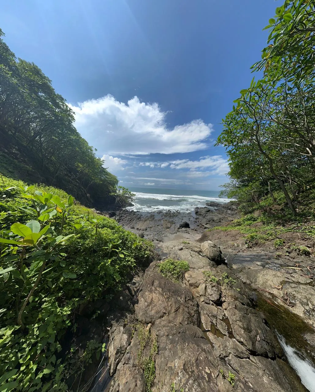 Sunset Paradise - image 7