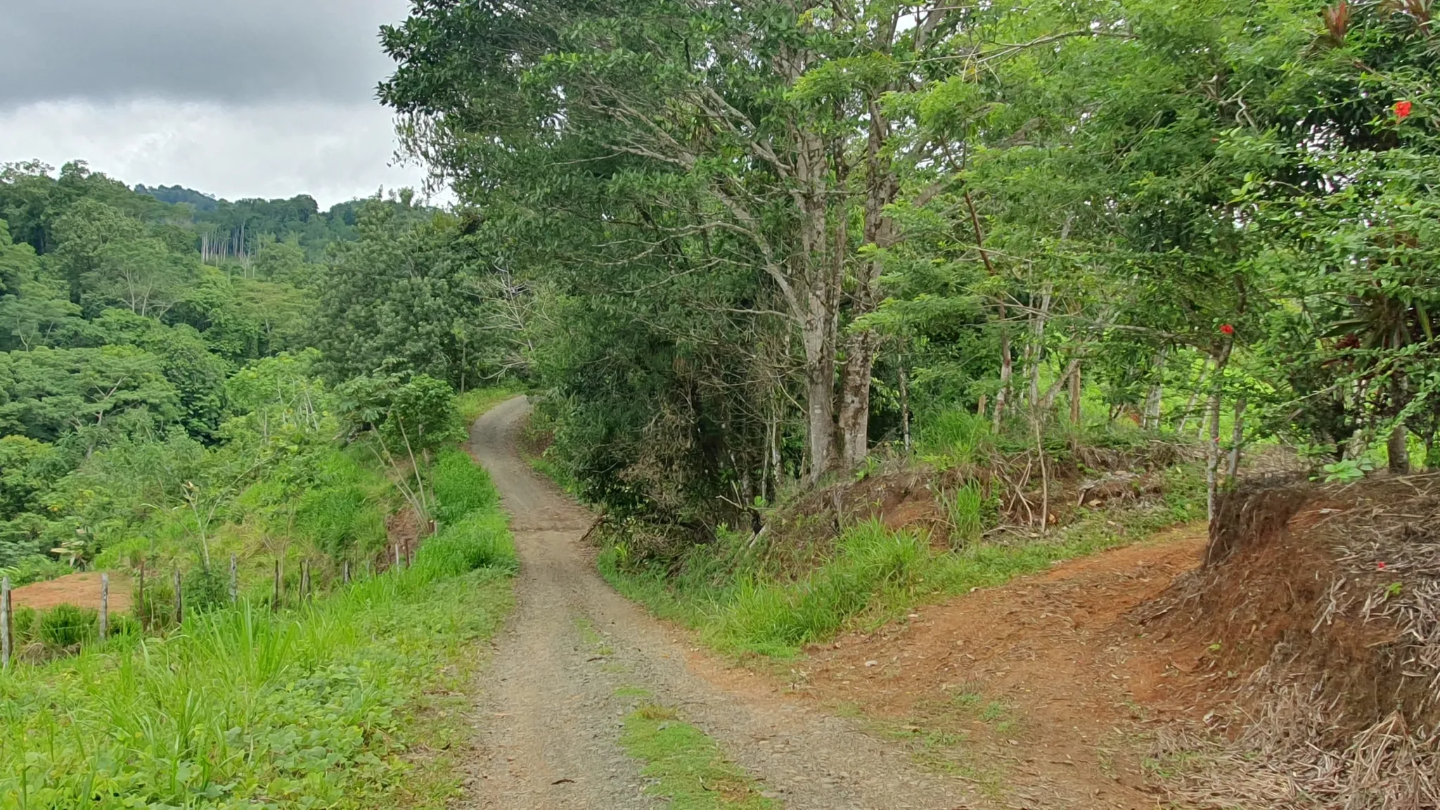 GULF VIEW PROPERTY IN PUERTO JIMENEZ, COSTA RICA - image 7