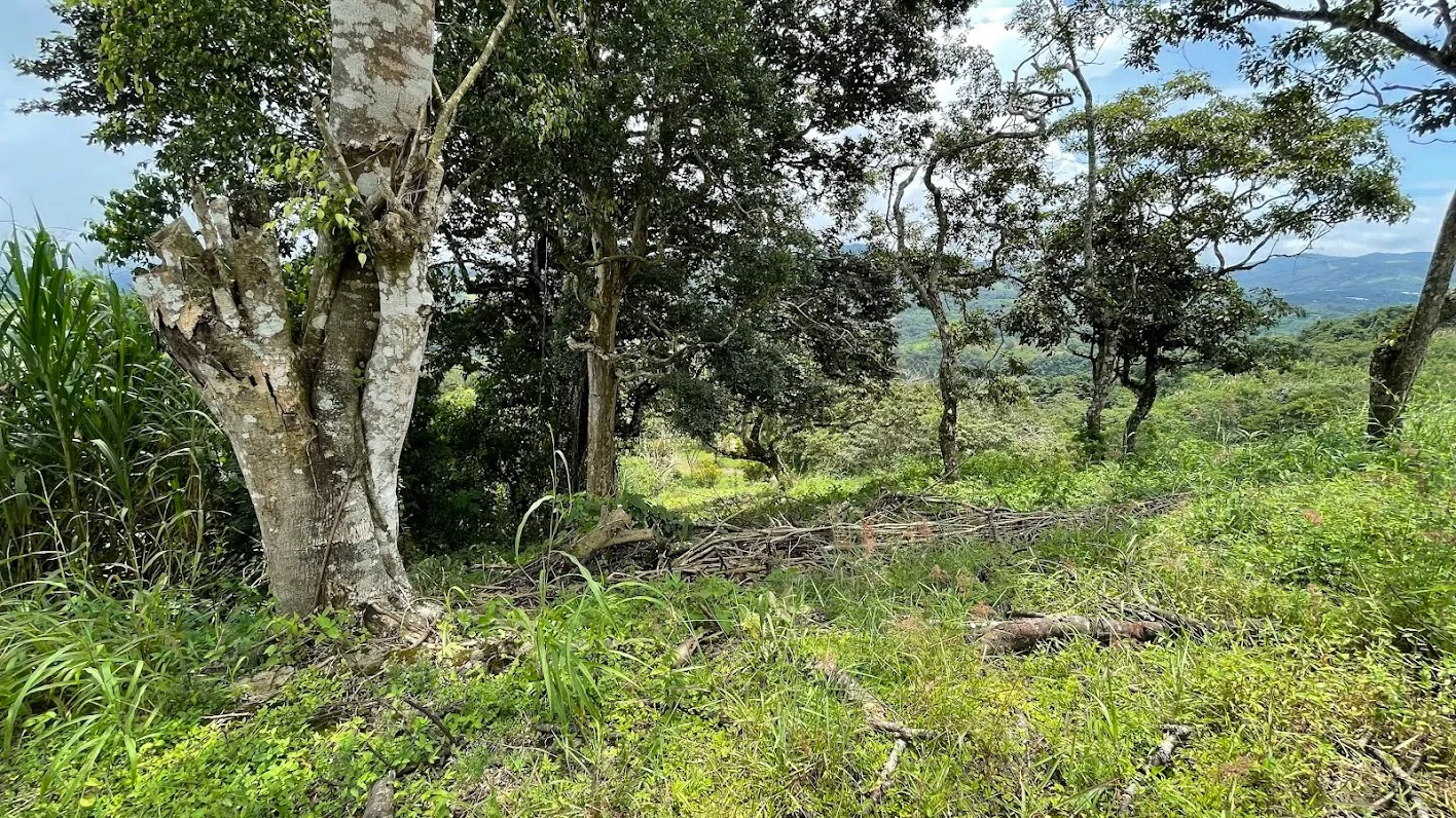 LOT FOR SALE IN SAN PEDRO, SAN RAMON - image 14