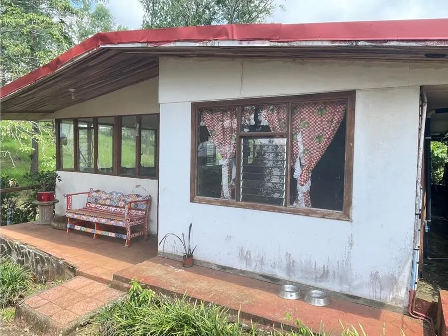 Venta Finca Puriscal - image 3
