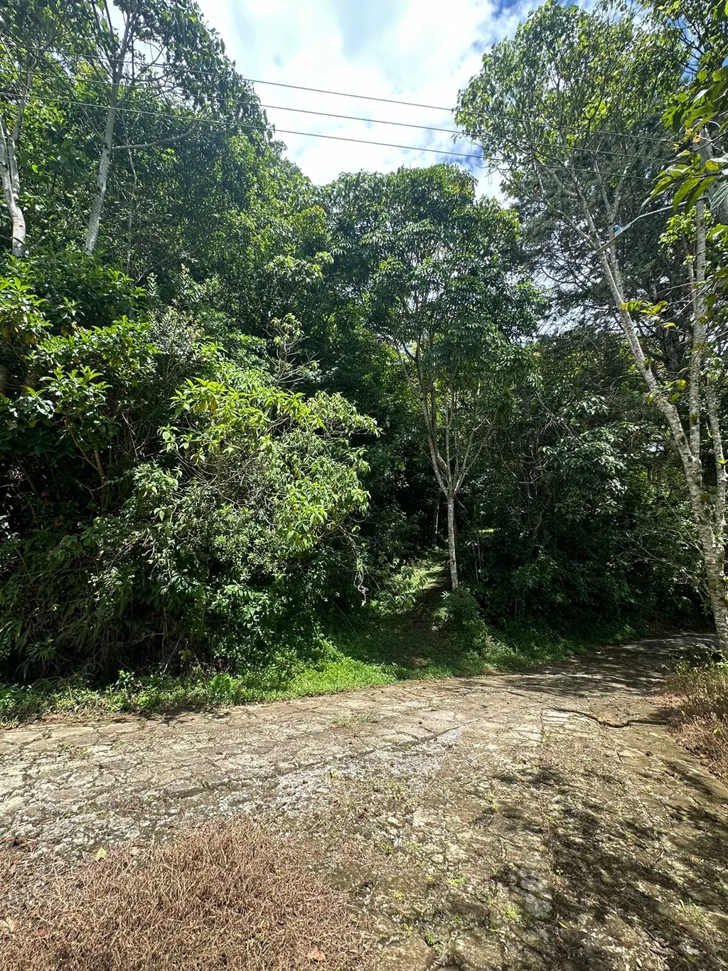 Land for Sale in Tarbaca a Natural and Tranquil Environment - image 6