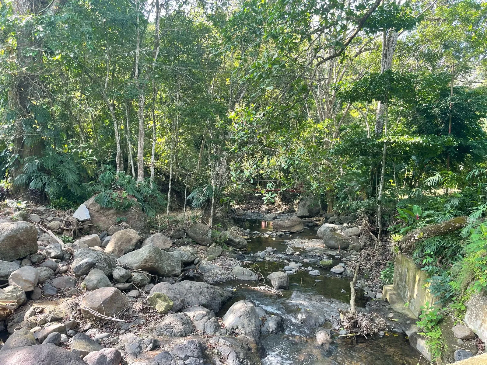 Venta Finca de Café, Beneficio y casa en Atenas - image 8