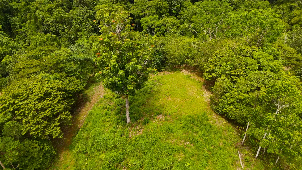 GULF VIEW PROPERTY IN PUERTO JIMENEZ, COSTA RICA - image 13