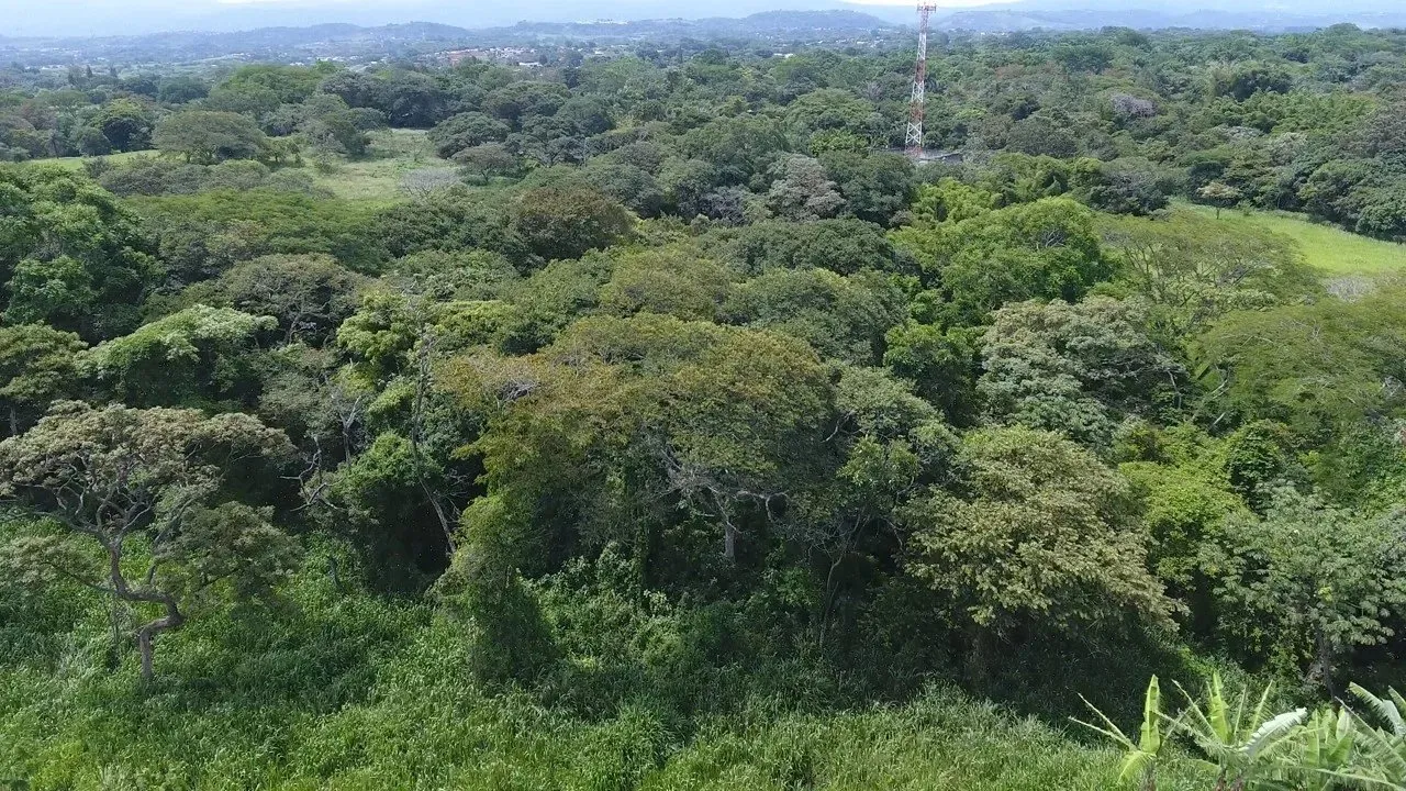 Spacious 10,288 sqm lot in La Garita, Alajuela - image 7