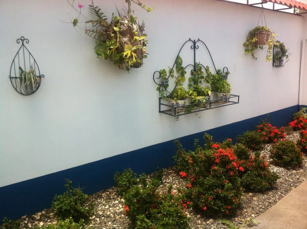 For Sale: Quinta in San Rafael de Alajuela - image 14