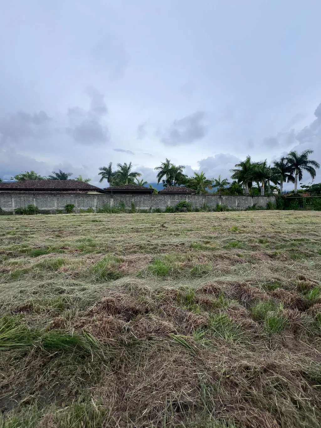  Lot in Lindora, Santa Ana - image 4