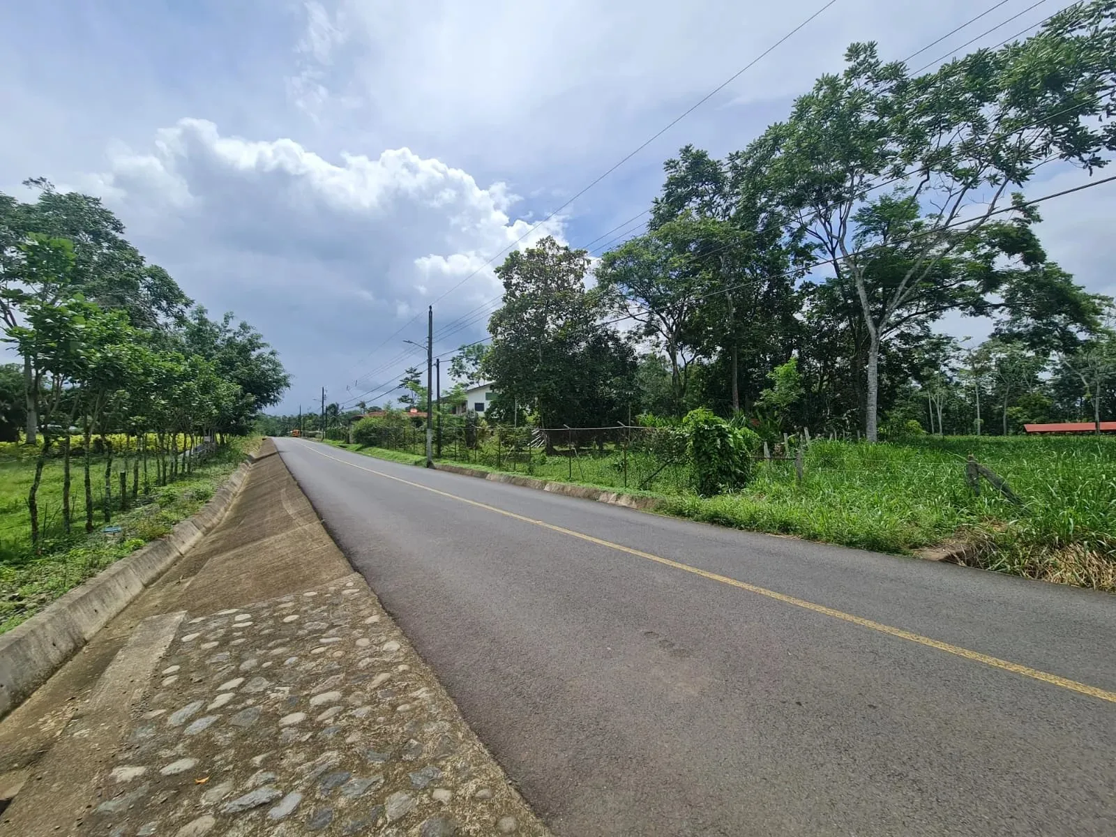 Farm for sale in San Ramon - image 10