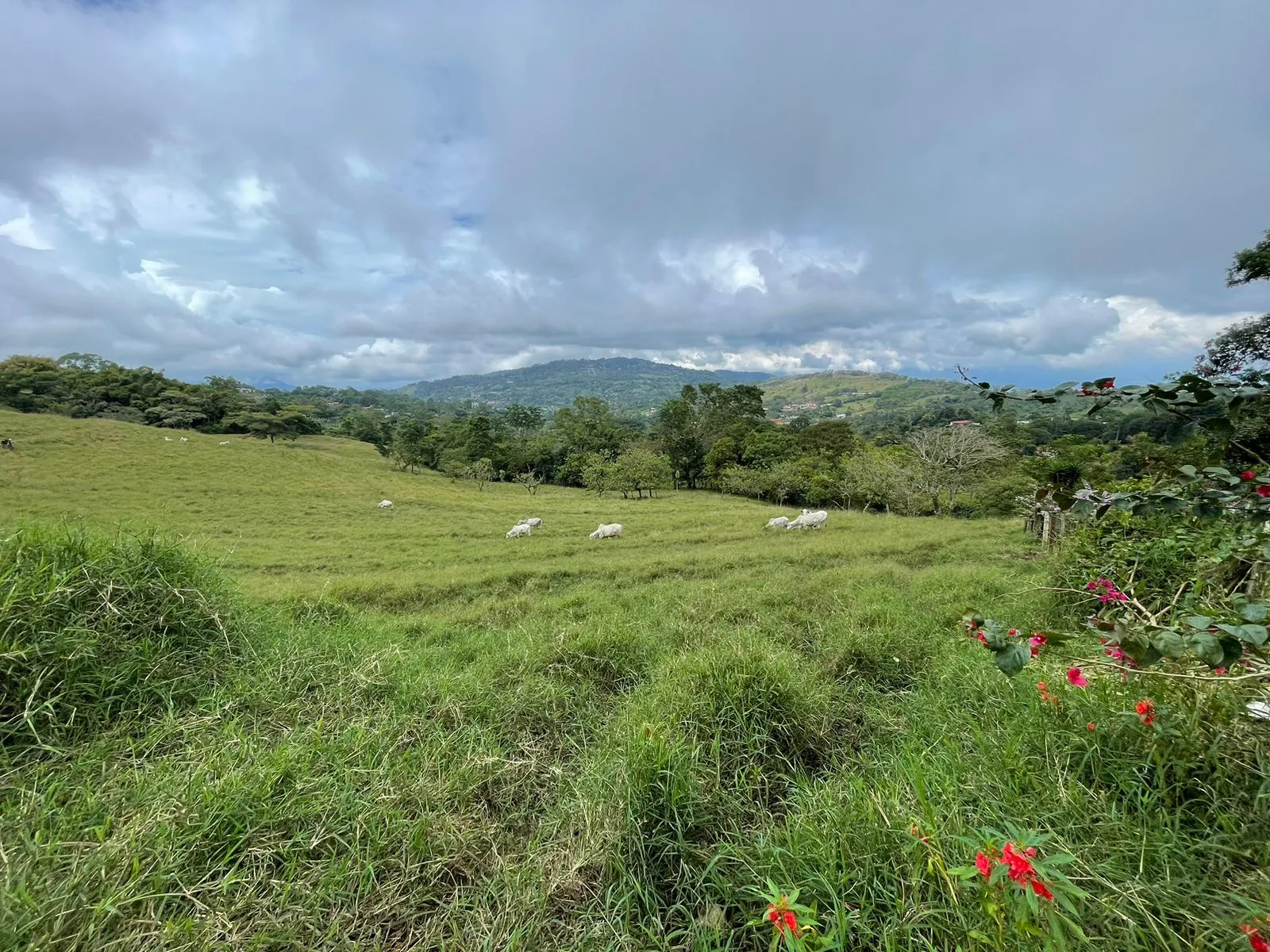 For Sale: Farm for development in Puriscal - image 9