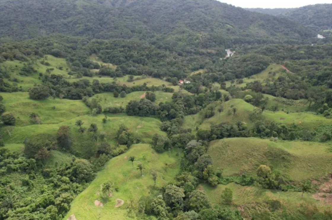 NATURAL PARADISE FARM of 203 ACRES IN BARU, PEREZ ZELEDON - image 3
