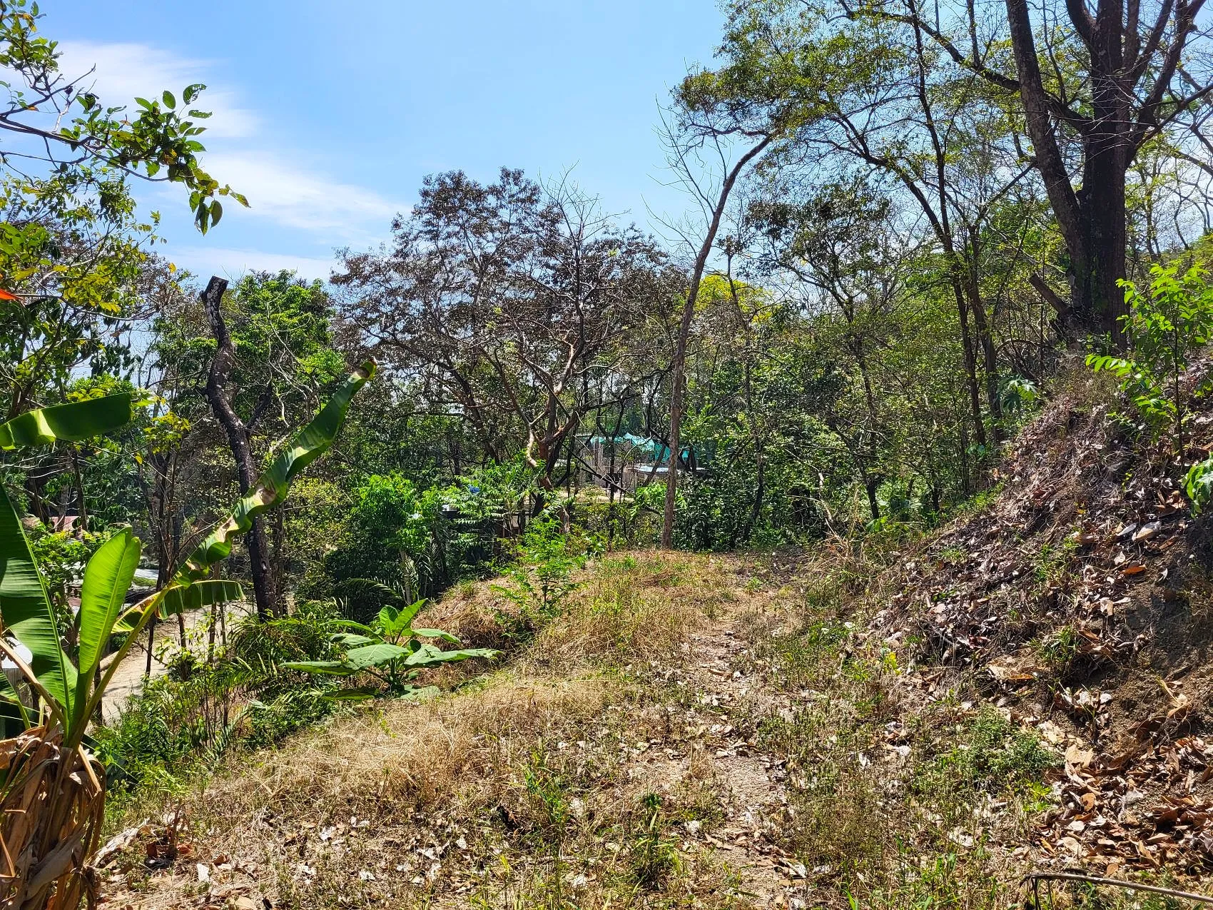 Prime Tropical Dream Lot For Sale - image 11