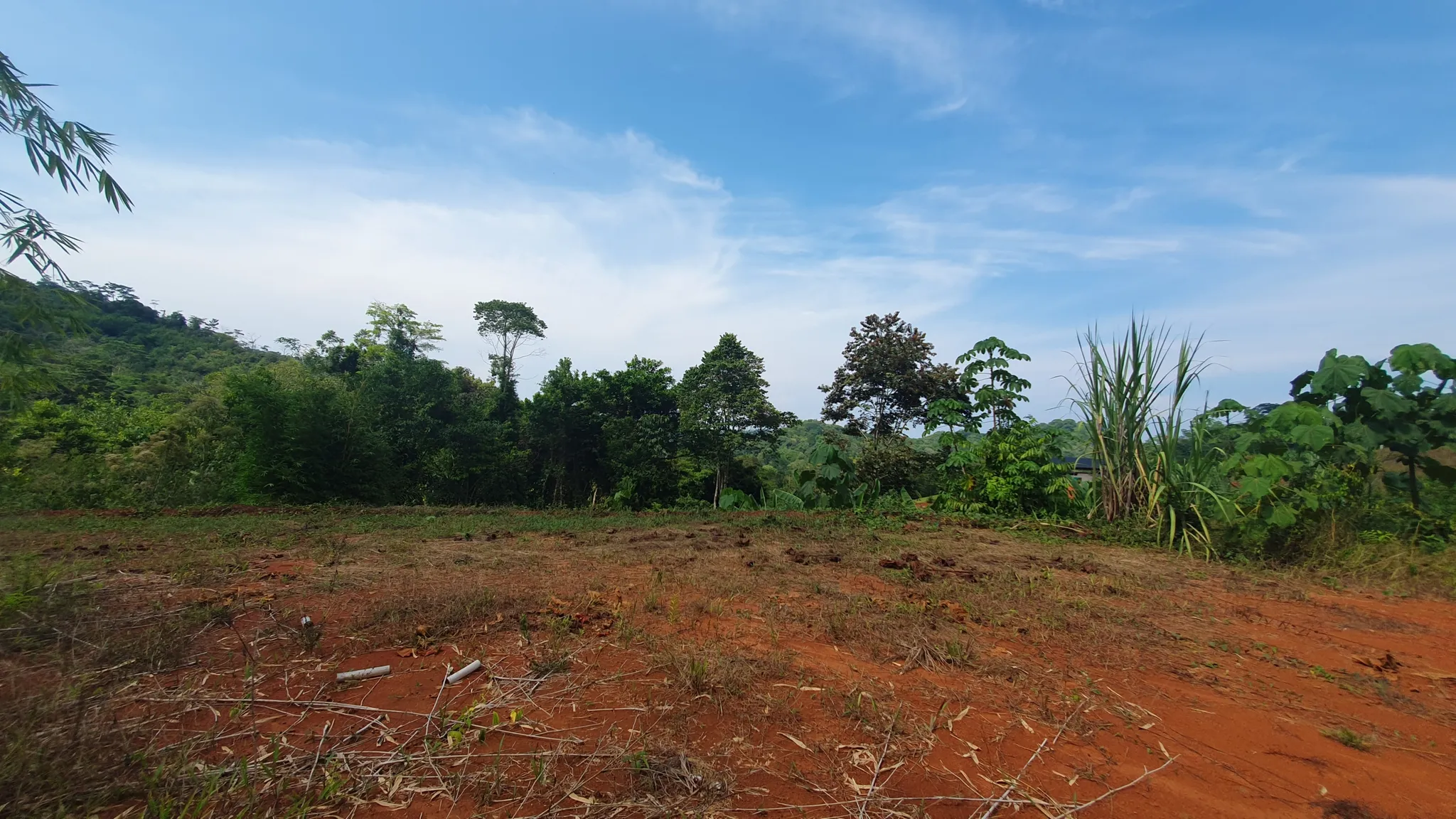 PEACEFUL AND PRIVATE LAND IN PUNTA MALA, OJOCHAL - image 7