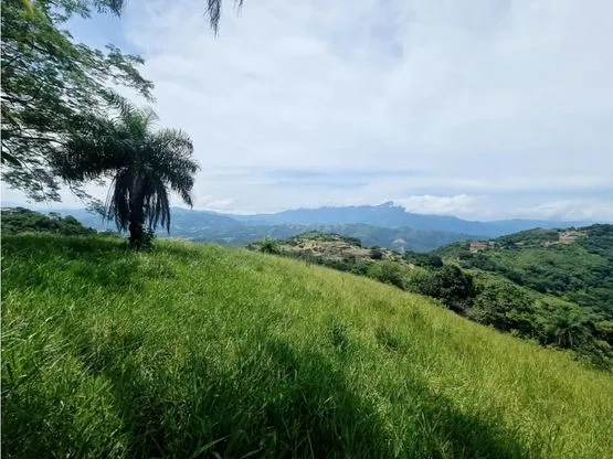 For sale: Developable land in Desmonte - image 6