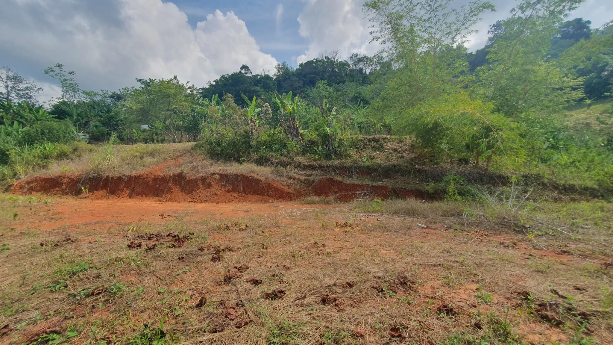 PEACEFUL AND PRIVATE LAND IN PUNTA MALA, OJOCHAL - image 13