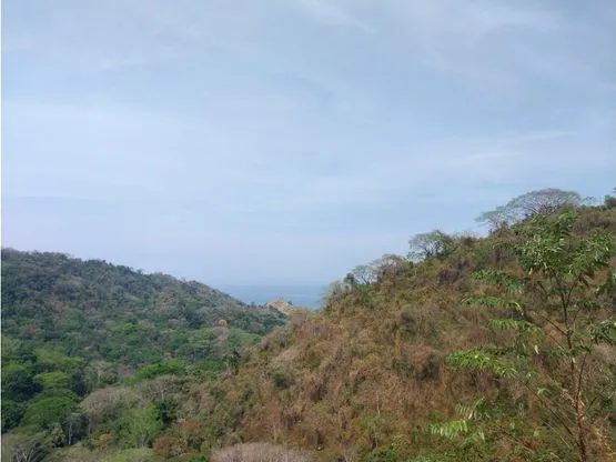 Extraordinary property with enormous potential in Tarcoles - image 4