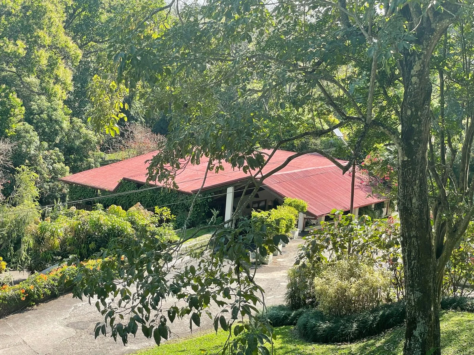 Venta Finca de Café, Beneficio y casa en Atenas - image 14