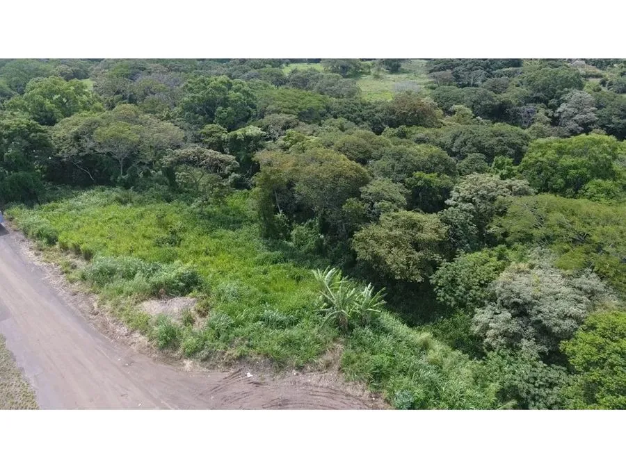 Selling a large lot in La Garita, Alajuela - image 7