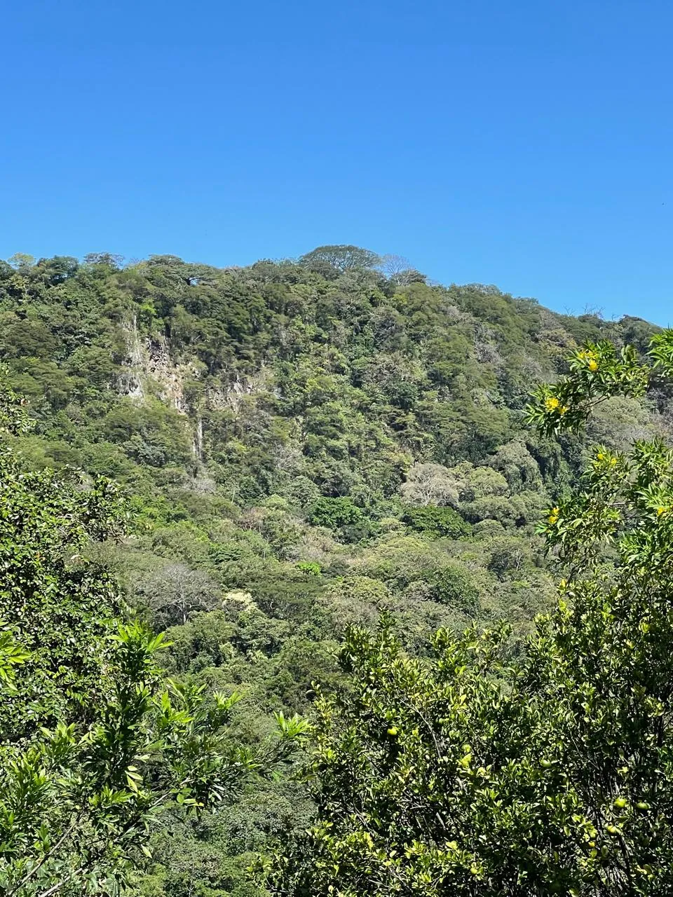 Sale / Impressive Lots (With Permission for Commercial Use), Ciudad Colon, San Jose - image 9