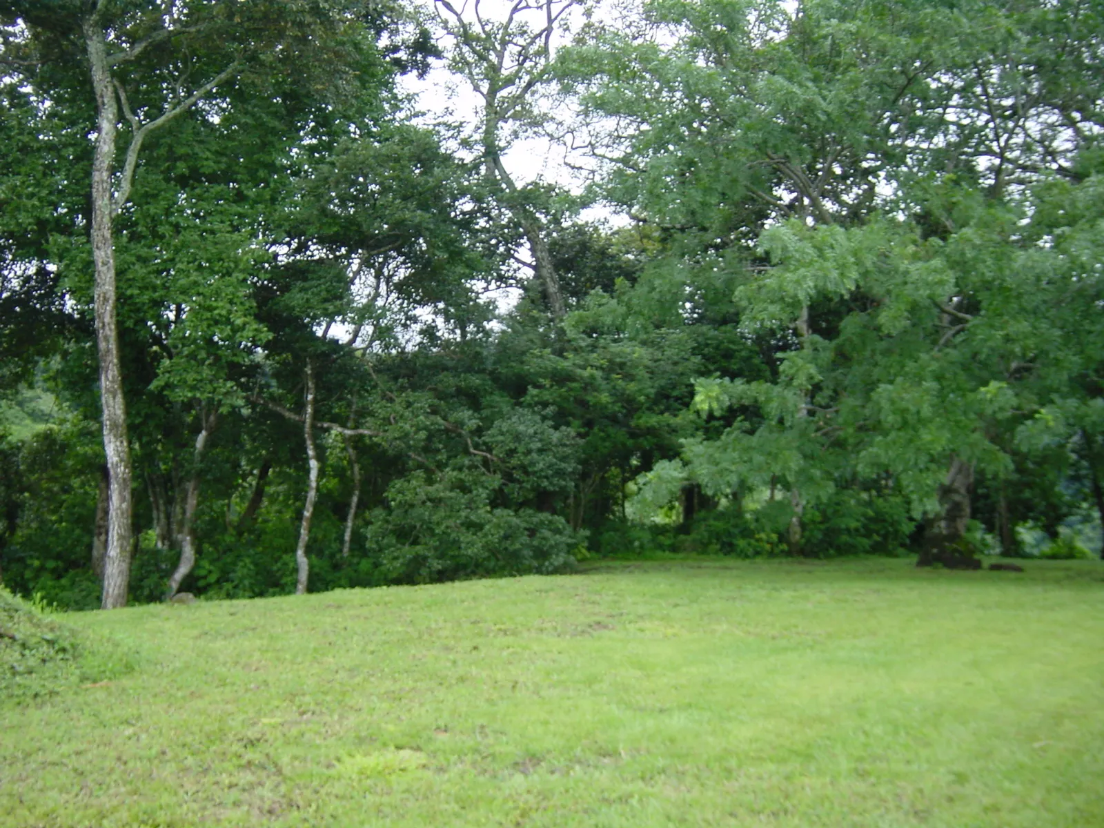 Home construction site property in Cuidad Colón - Lot for sale - image 12