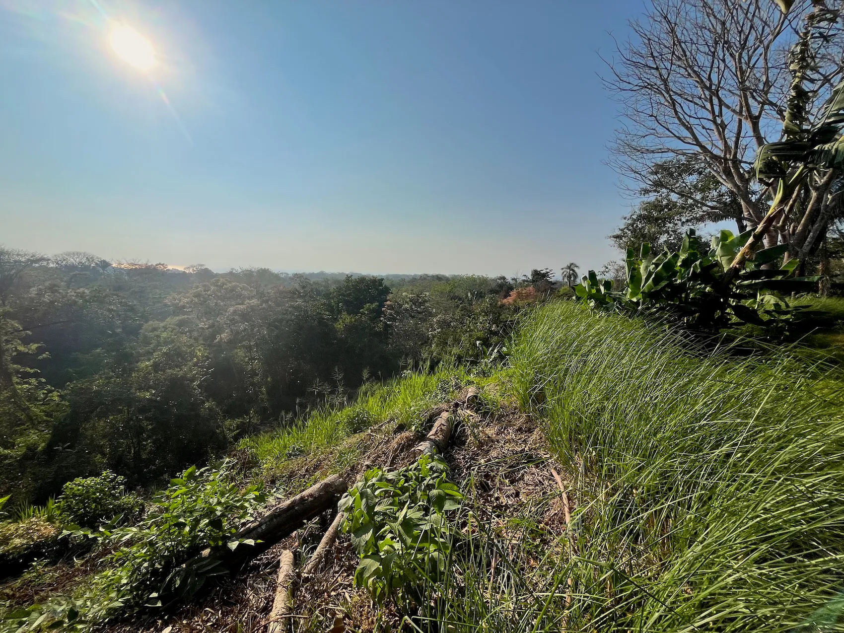 6,300m² Lot with Beautiful Valley, Ocean & Sunset Views Near Playa Hermosa - image 3