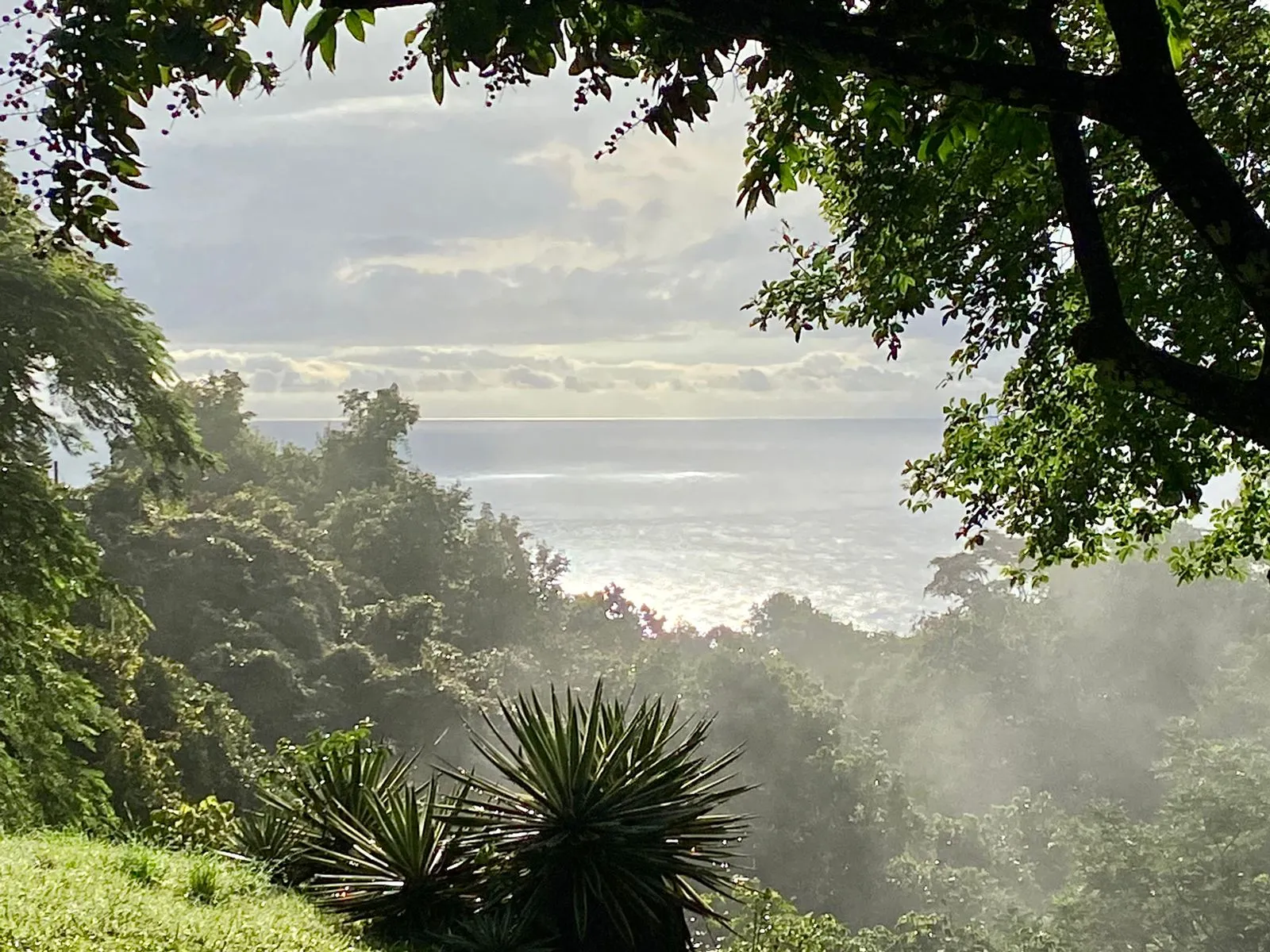 Amazing Ocean View Property with Exceptional Development Potential & Boho Home, Rustic Cabin and Pool in Delicias Near Montezuma - image 14