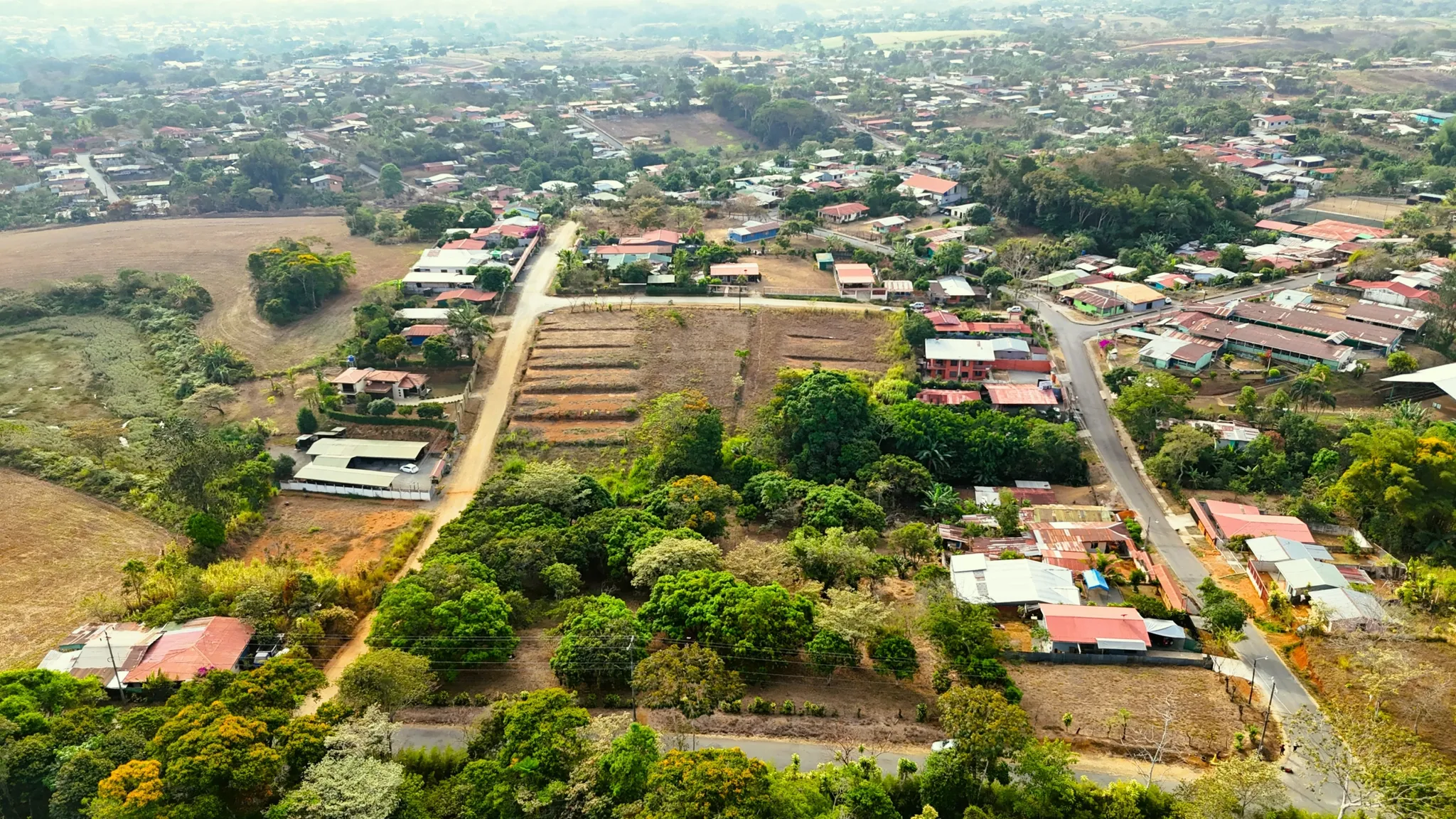 FRUIT TREE PROPERTY IN PEREZ ZELEDON, COSTA RICA - image 3