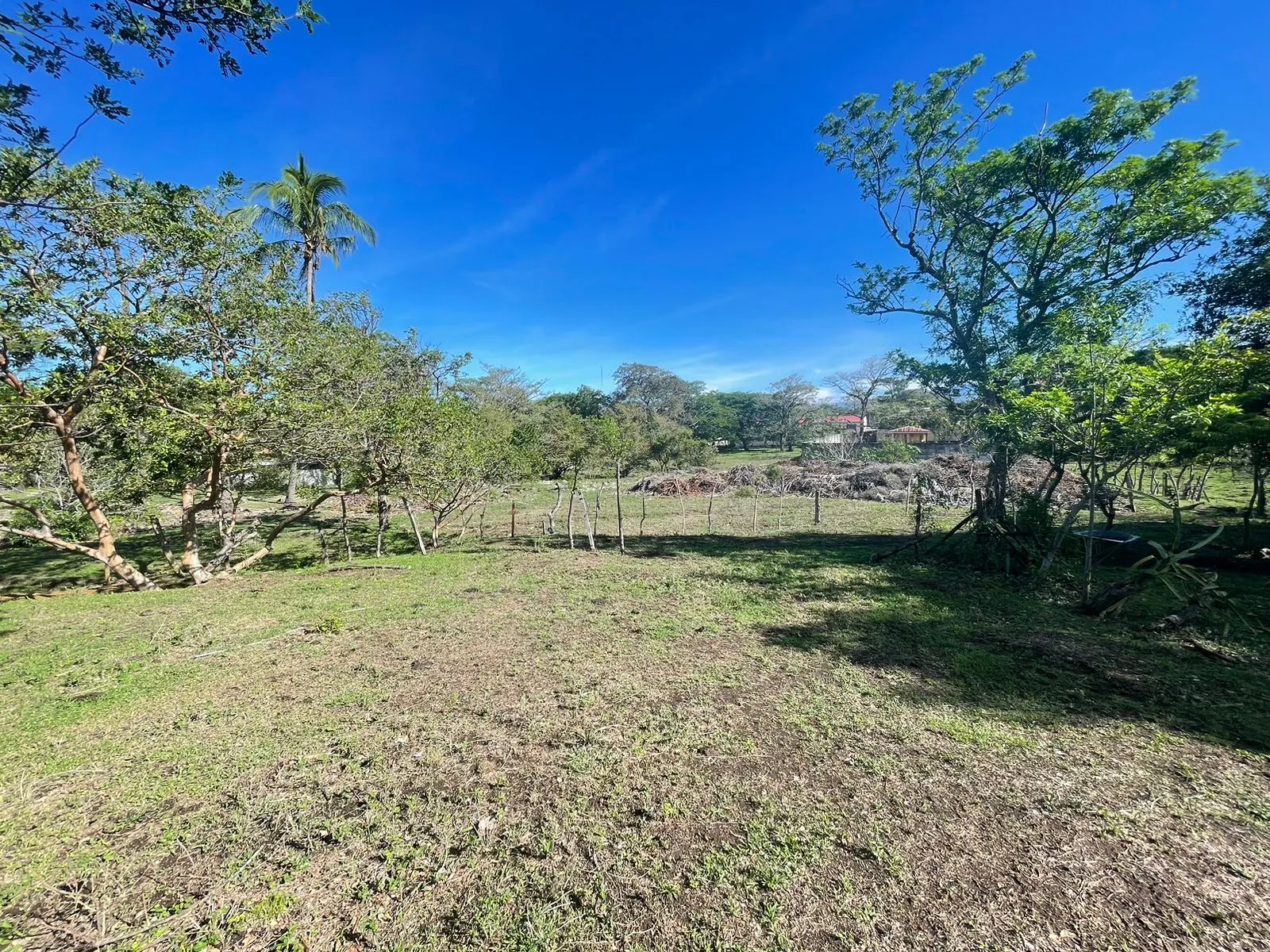 For Sale: Land for Development in Santa Ana - image 12