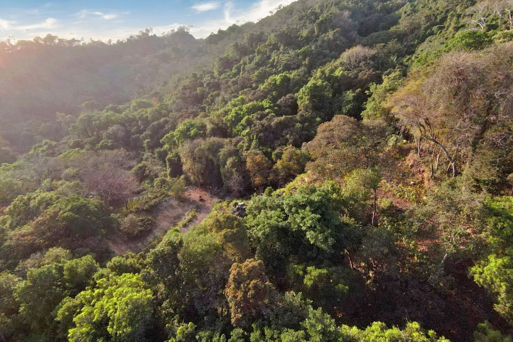 Ocean View Property for Sale in Santa Teresa, Costa Rica - image 5